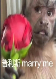 中卫车辆年检在哪里办理